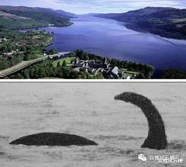 鹦鹉|34个全球至今无法解释之谜