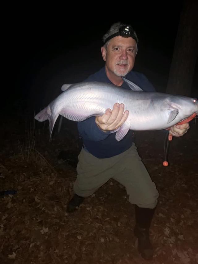 鲫鱼|立秋后钓鱼，别人三连杆你空军，是钓技的问题吗？