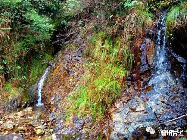 温州@温州铁坑古道，一条横亘于永嘉青田深峡的水瀑古道