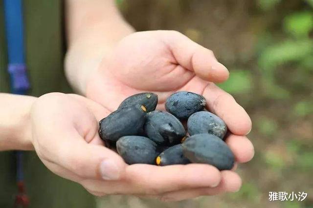 酱油|难道这种美食,只有“两广”人们才吃?外省朋友都不吃的吗?