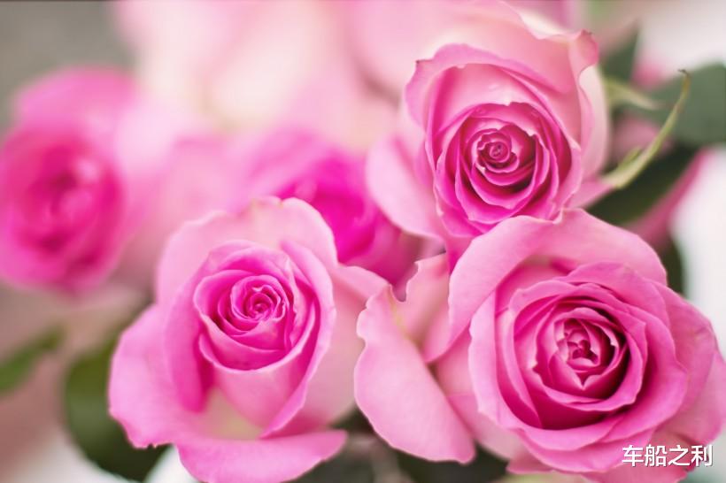 生肖|这3大生肖今年偏财旺盛,中奖、捡钱等等好事不断