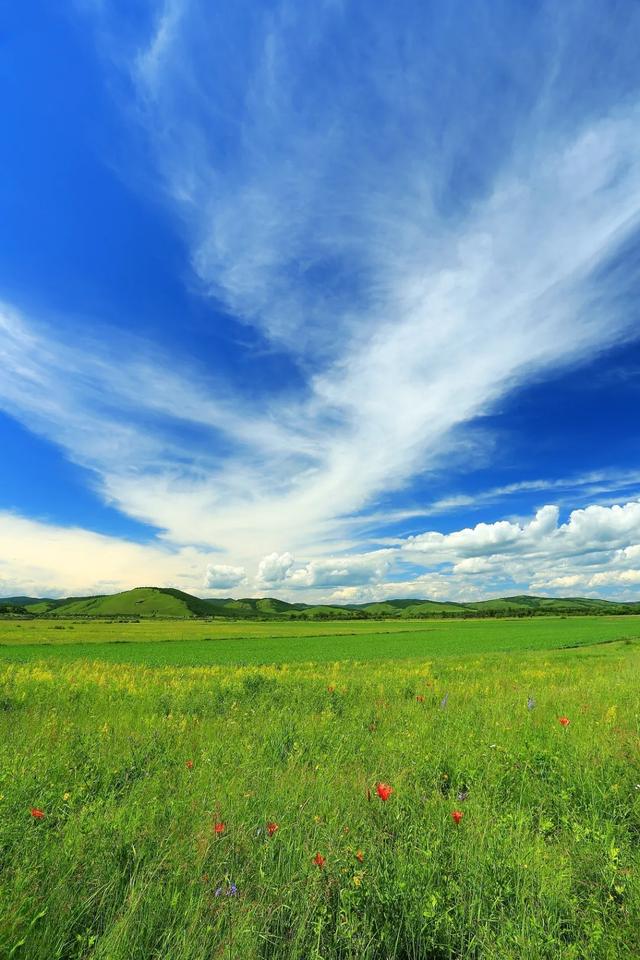 旅行▲错过了这里，就等于错过了“中国最美的夏天”