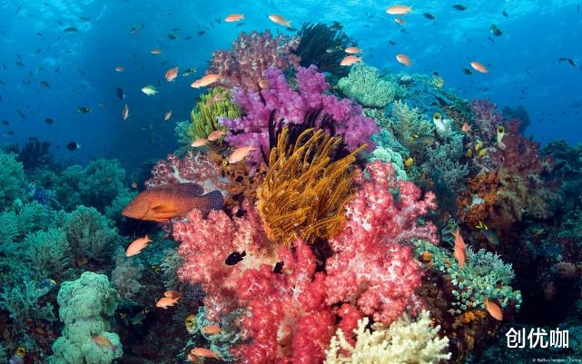 生肖|11月,运势如虹,财旺桃花旺,事业逆袭,爱情甜如蜜的3个星座