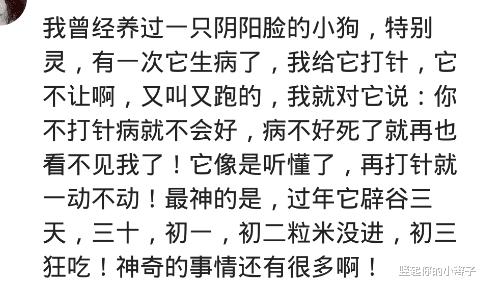 |我妈说小的时候,家里的猫会用尾巴在河边钓鱼,叼回厨房的柴堆,哈哈哈