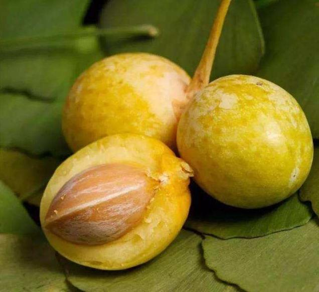 央视频|转扩！女子因吃这种“零食”住进ICU，已有多人中招，严重可致死亡