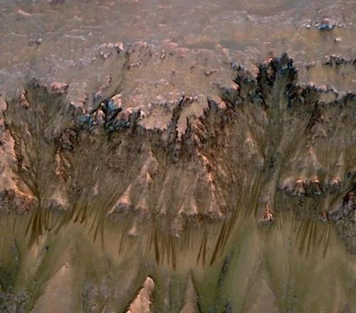 [火星]也许你就是火星人！科学家为什么盯着火星不放？