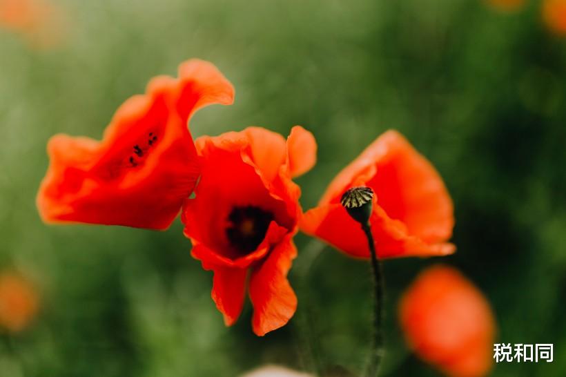 生肖@注意！先苦后甜，7月8号金玉满堂翻身做土豪的3大生肖，好运连连