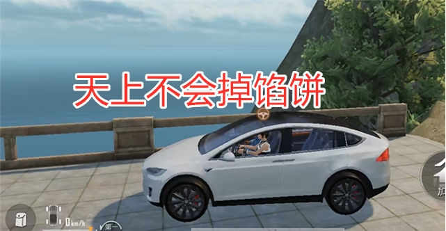 吃鸡游戏|吃鸡：特斯拉只要10元？玩家亲身尝试，这个“官网”不靠谱！