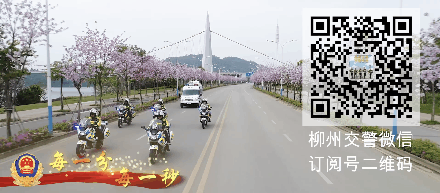 柳州|那一年“7.19”百年一遇大洪水！老柳州的你 还记得吗？