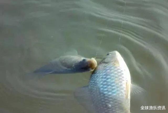 「放生」野钓怎么找鱼窝？钓鱼高手用4张图告诉你鱼藏哪了，告别空军很轻松