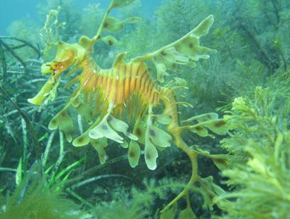 【科学家】人类能否一直站在地球顶端？科学家：要小心这两种生物！