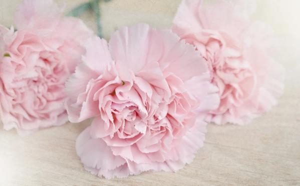 运势|9月下旬，神来气旺，好运一波接一波，4生肖财源滚滚，幸福满满