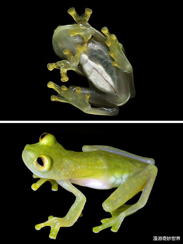 火山|28张难以置信的照片，大自然真是无所不能啊！