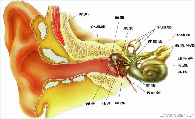 ##人死去的一瞬间，从科学角度讲：他知道自已经死去了吗？