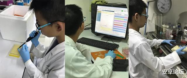 基因|这么羞耻的造假，就该被封杀