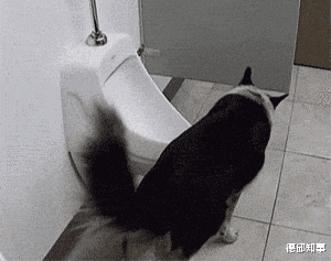 吕布|“吕布一生没有斩杀过名将，为什么却被称为三国第一猛将？”