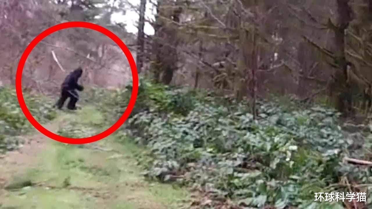 |营口坠龙是不是真的，龙会不会生活在海里只是我们没发现？