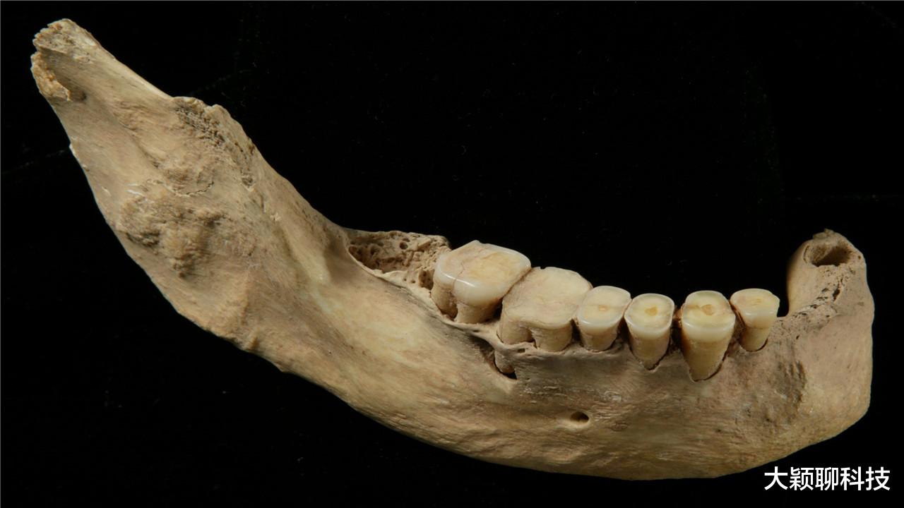 化石|神秘古人类化石被发现，和人类有380处不同，暂时未知它是什么！