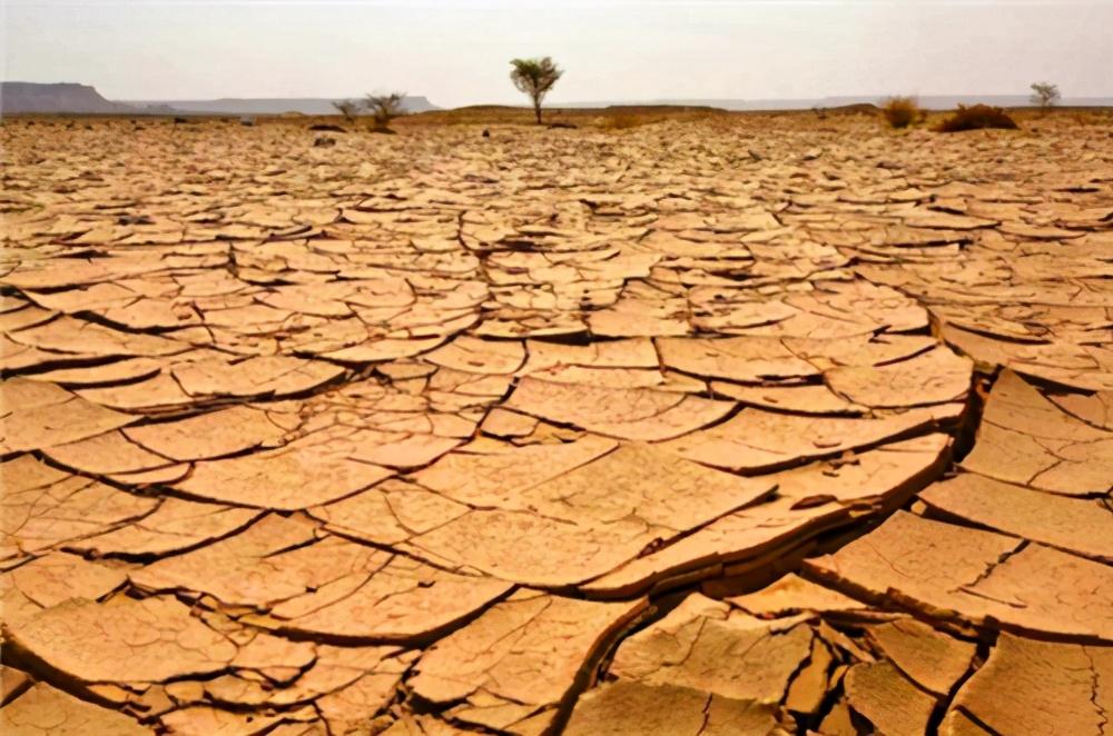 河北|河北“最没面子”的沙漠，被治理到仅剩200亩，如今却成著名景点