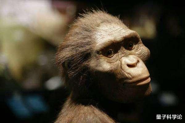 古生物学|进化史最大的骗局，误导人类40年，人类起源于哪里？