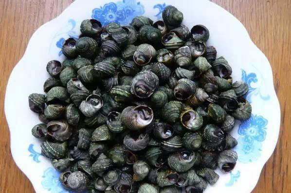 鱿鱼|开海了！这84种海鲜，你都认识吗？