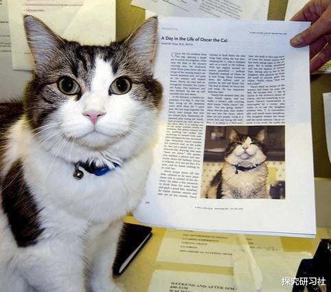 『』猫为什么能够预测死亡？