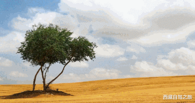 川西|国庆啷个耍，我们去川西