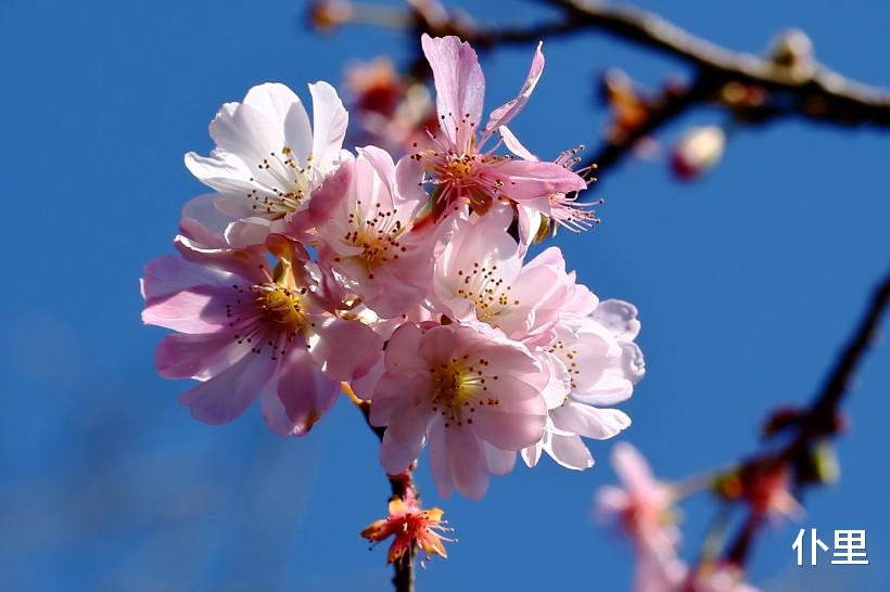 属龙@6月下旬,进财机遇多多的3生肖,好运连绵,赚钱有进展