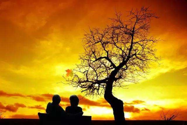 |人生最后悔的五件事，其中有没有你后悔的事呢？