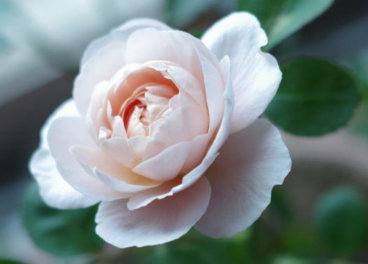 运势|到了10月，4属相如鱼得水，事业突飞猛进，平步青云，步步高升