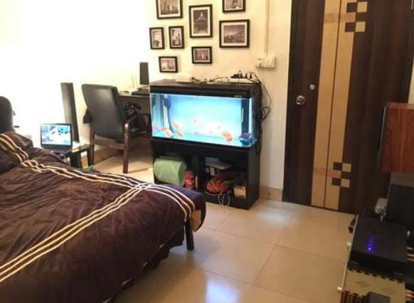 【】卧室中不要出现7样东西,影响财运和身体健康,有一样出现都不好