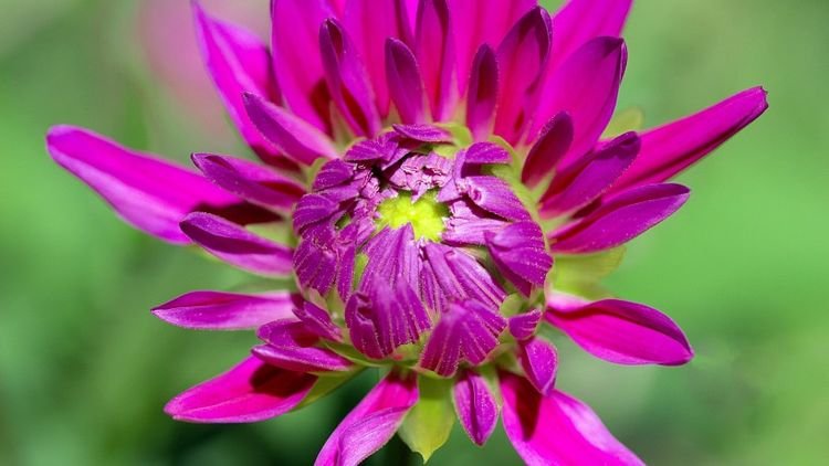 运势|8月开始财富不断增多,运势雨过天晴,轻松逆袭的四大生肖