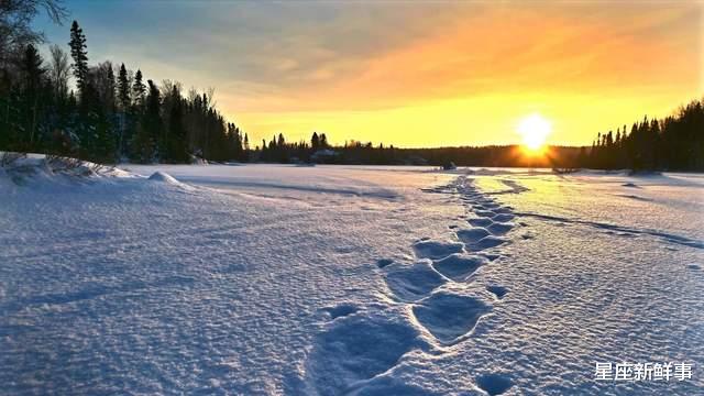 生肖|11月份，这几个星座决定选择幸福，有你吗？