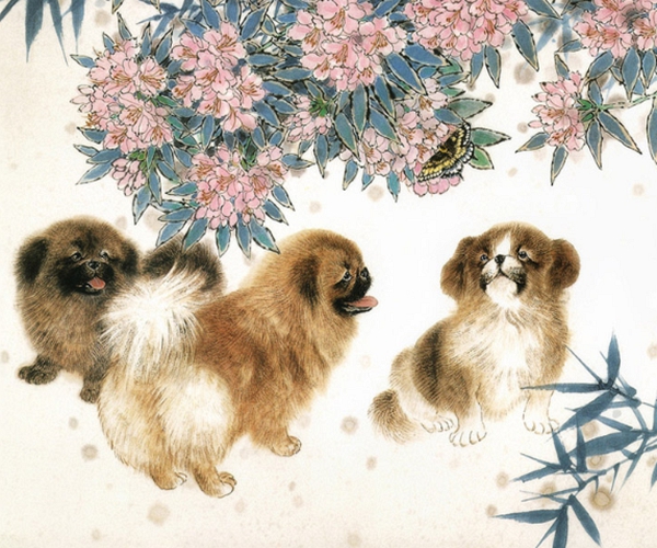 ##属狗人2020年的命运，算命老先生亲自为你解读，好运只此一回！