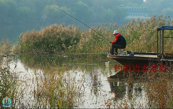 |鱼不上钩?其实钓位不对,如何选择一个好的钓位。皇禾钓具