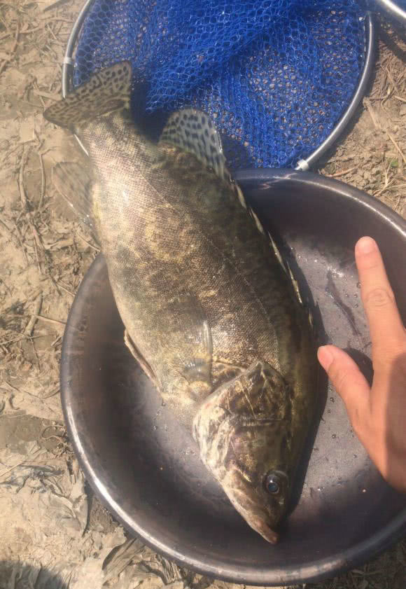 『苏州』人还是模具？苏州男子河边钓鱼，见河中伸出“一只脚”，网友：吓人