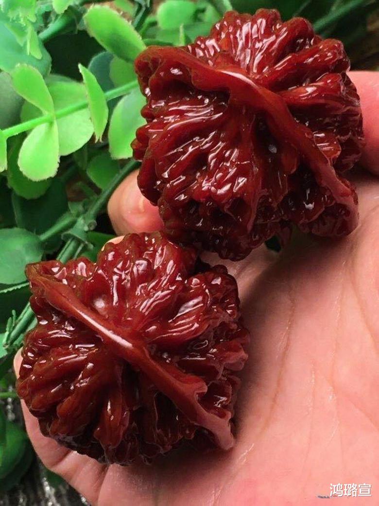 文玩核桃|千元文玩核桃为何最终扔进垃圾桶？这3种宿命难以抗拒！
