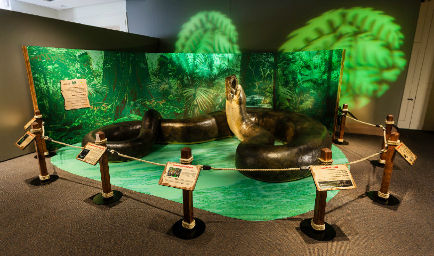 「鳄鱼」地球目前已知最大的蛇,长达15米重1吨,需要在30度以上高温生存