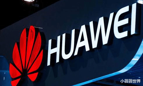 华为|华为瑞典代言人：和华为合作是不理智的行为，中国政府不友好？