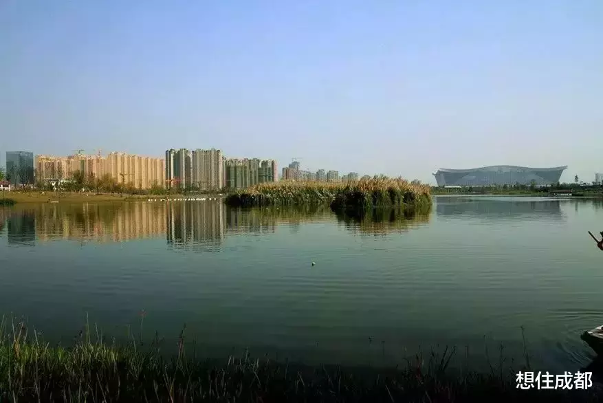 这才是全球城市精英的居住圈