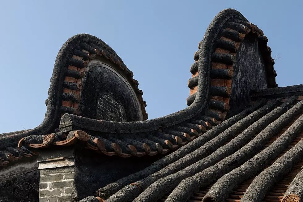 布局大湾区：宋卫平和他的理想小镇