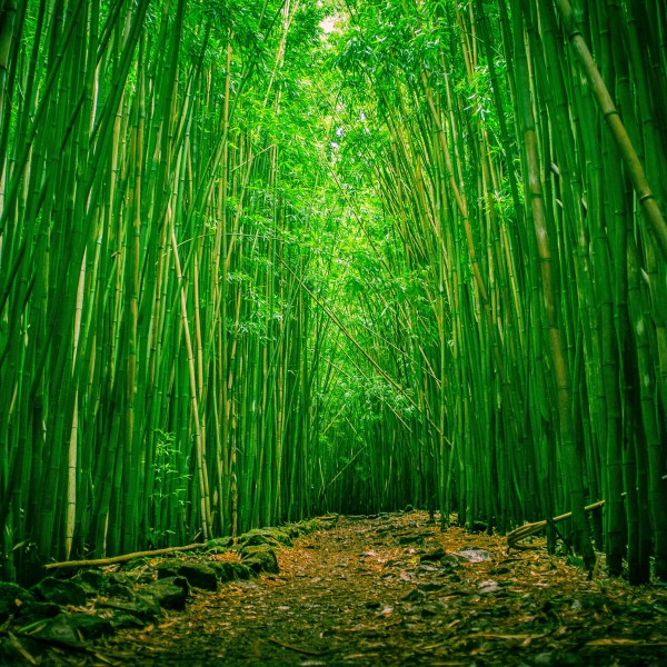 「运势」4月吉星照耀，运势特别棒，外财数不胜数，财运高涨的四属相