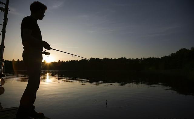 饵料|老铁跟我说，夏季夜钓比白天强，这几点足以说明---皇禾渔具