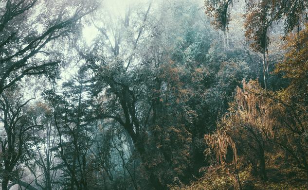 处女座|静而不争，静而不乱的三大星座，戒掉抱怨，戒掉计较，锋芒不露