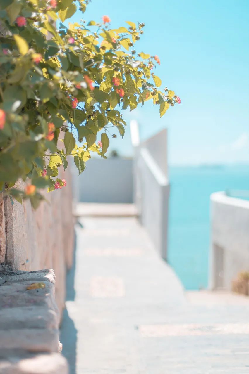 旅行|15个情侣最爱打卡的旅行地，去过5个忍不住想结婚！