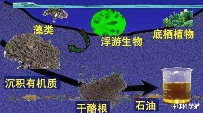 |一个油田上亿吨，如何形成的，用得完吗？生命都消失或也不会枯竭