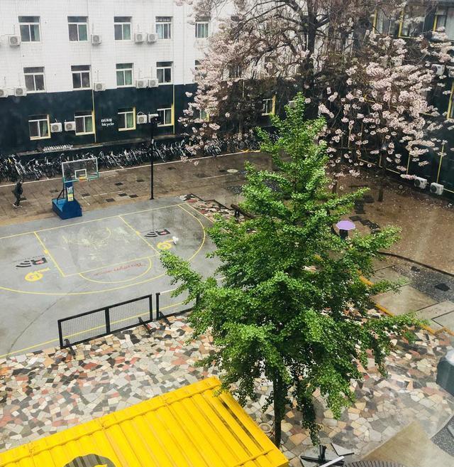 没有客厅只有床：当代年轻人过的是什么日子？