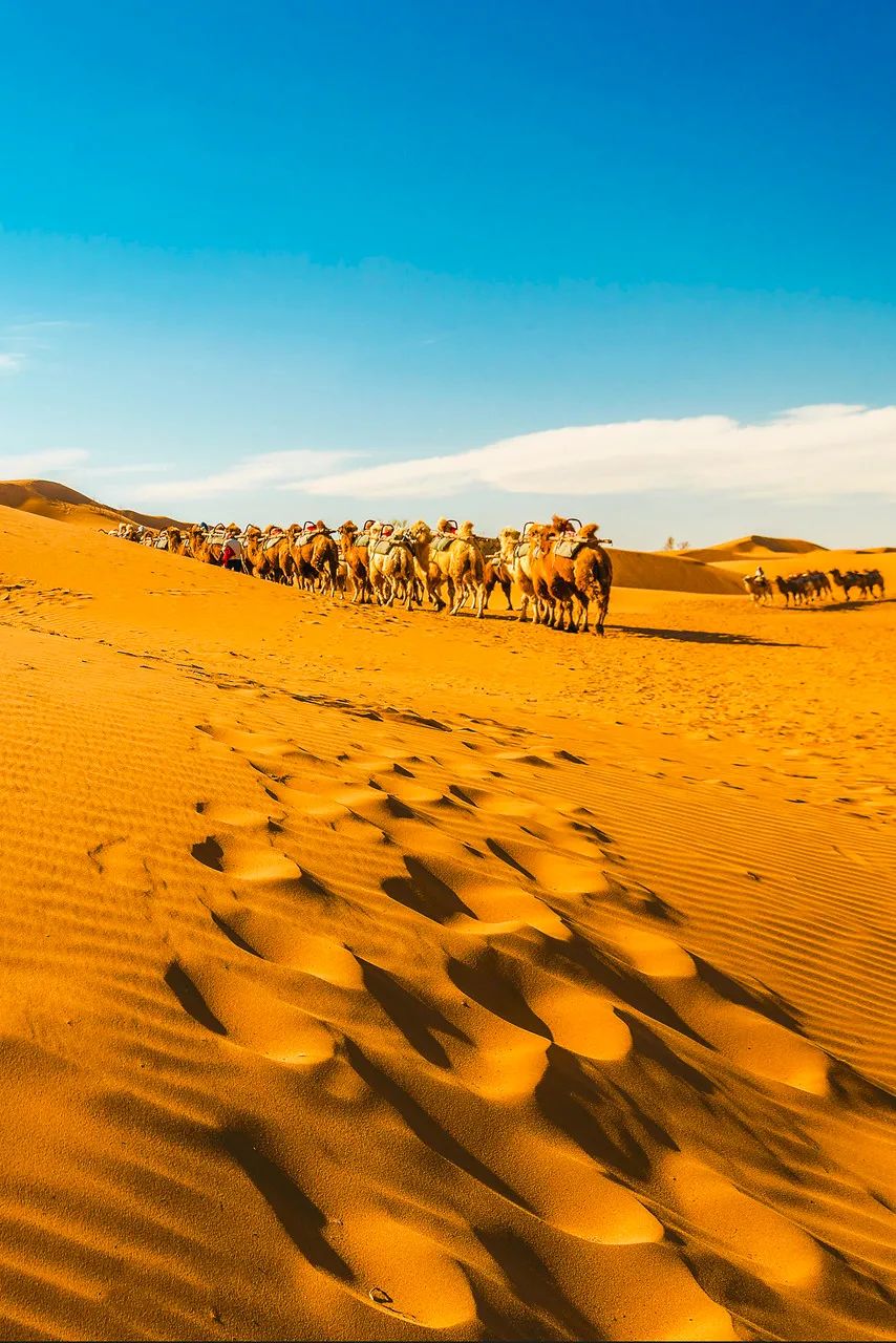 旅行|国内最适合一个人旅行的15个地方,累了就出来走一走吧