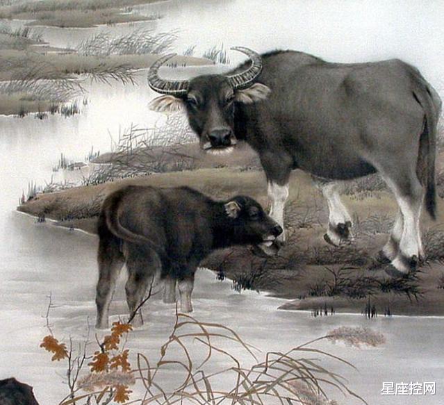 生肖|最近十五天，3生肖职场如虎添翼，事业发展格外好，贵人带他成功