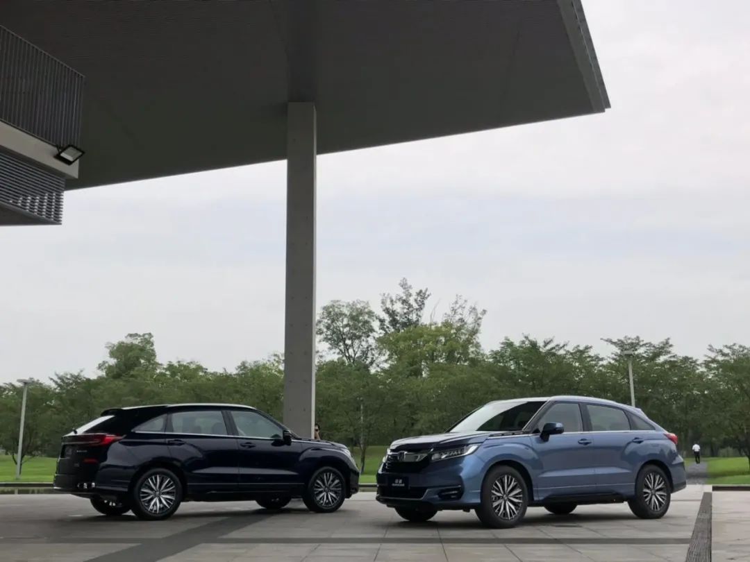 冠道|冠道为什么就成功了？